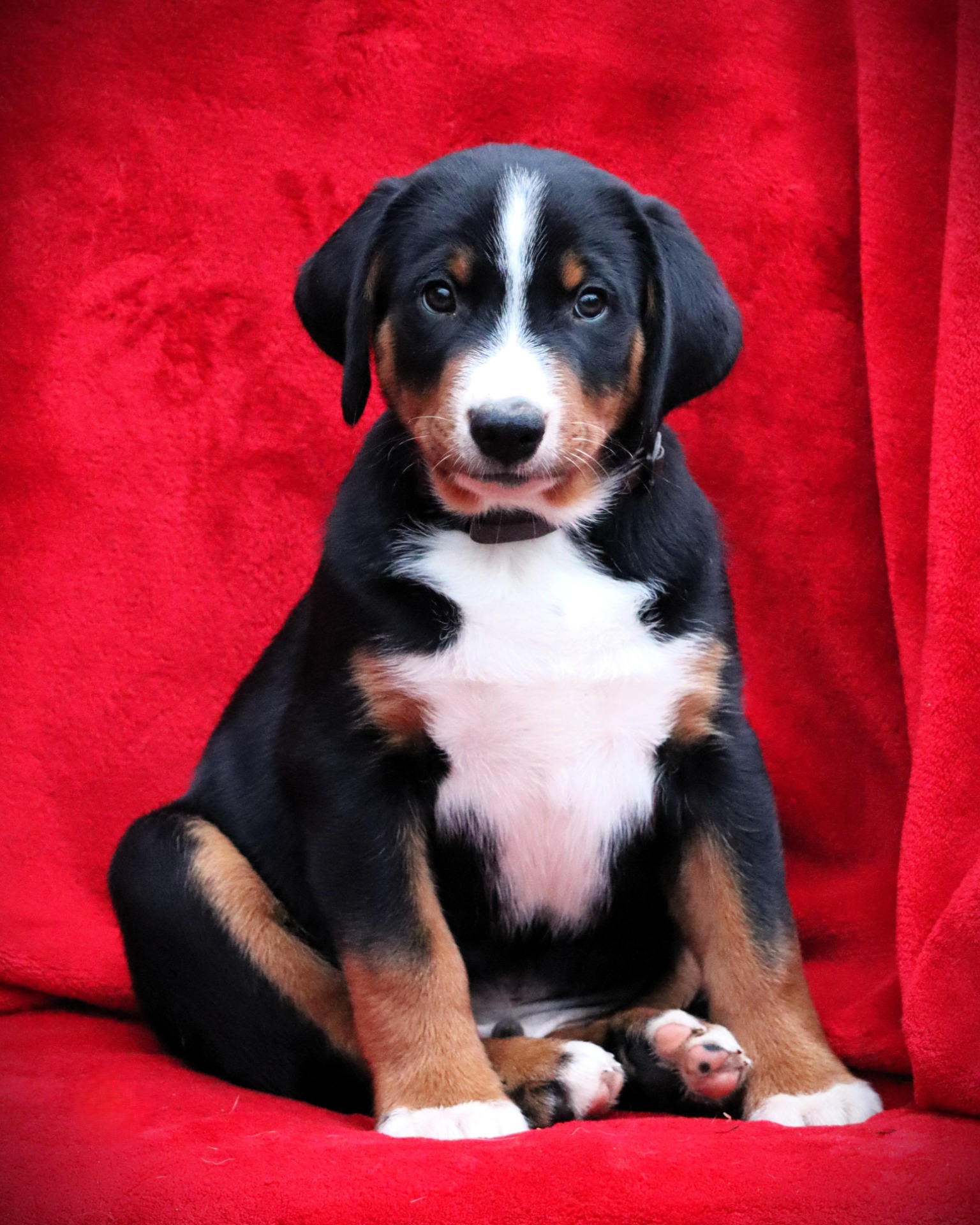 Herr Bruno Lucky Droplet